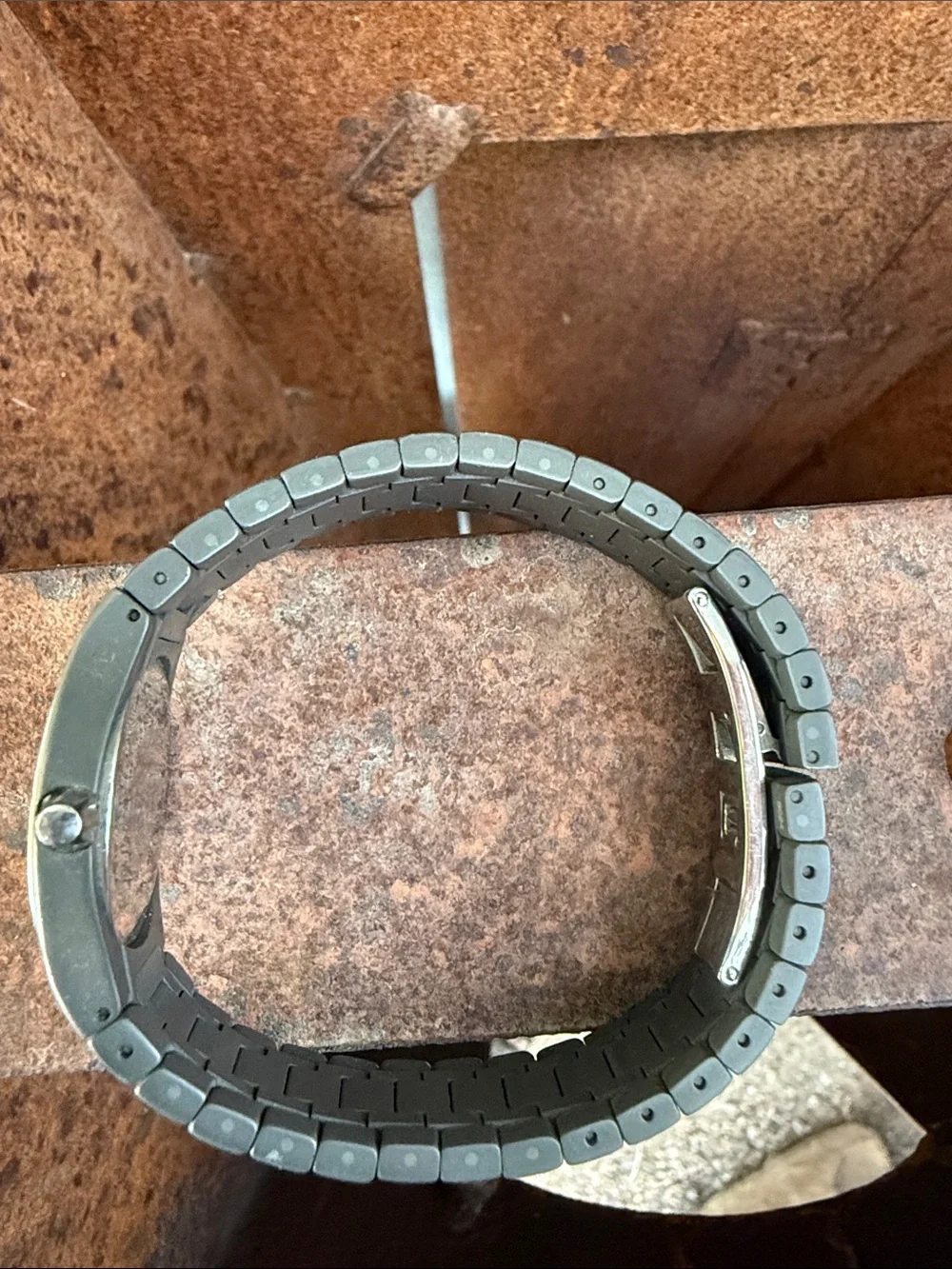 Titanium Women’s ESQ Swiss Watch